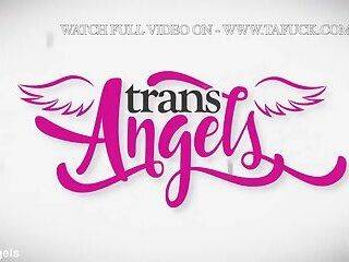 Treat TransAngels download full from www tafuck com can - ashemaletube.com
