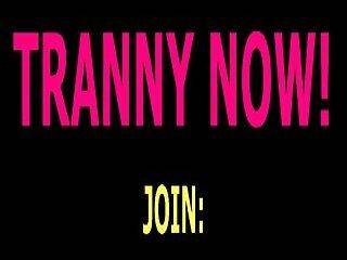 randy tranny johnson show 123 - ashemaletube.com