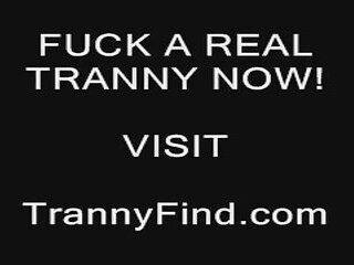 trany can t wait with pee in her clothes - ashemaletube.com